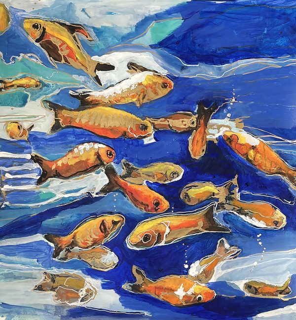 Goldfish for Everyone